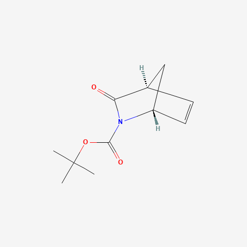 (1R,4S)-tert-Butyl 3-oxo-2-azabicyclo[2.2.1]hept-5-ene-2-carboxylate