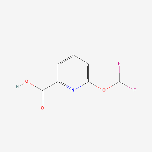 6-(Difluoromethoxy)picolinic acid