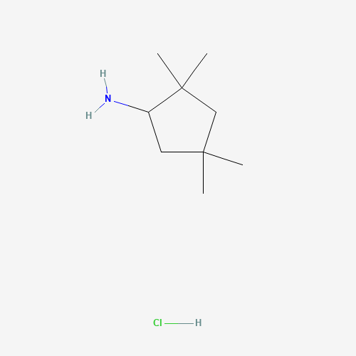2,2,4,4-Tetramethylcyclopentanamine hydrochloride