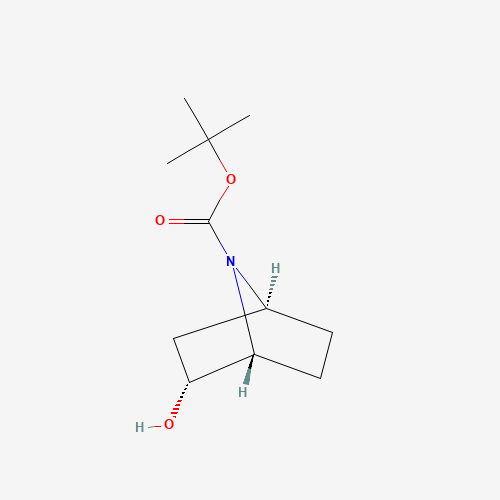 (1R,2R,4S)-rel-tert-Butyl 2-hydroxy-7-azabicyclo[2.2.1]heptane-7-carboxylate