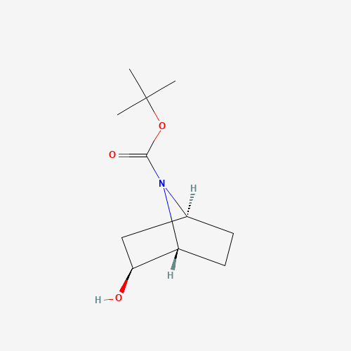 (1R,2S,4S)-rel-tert-Butyl 2-hydroxy-7-azabicyclo[2.2.1]heptane-7-carboxylate