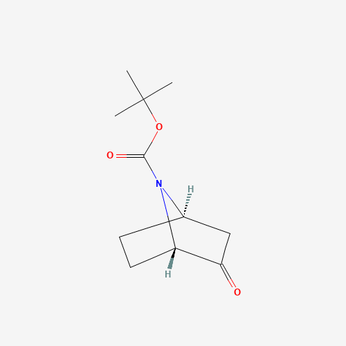 (1S,4R)-tert-Butyl 2-oxo-7-azabicyclo[2.2.1]heptane-7-carboxylate