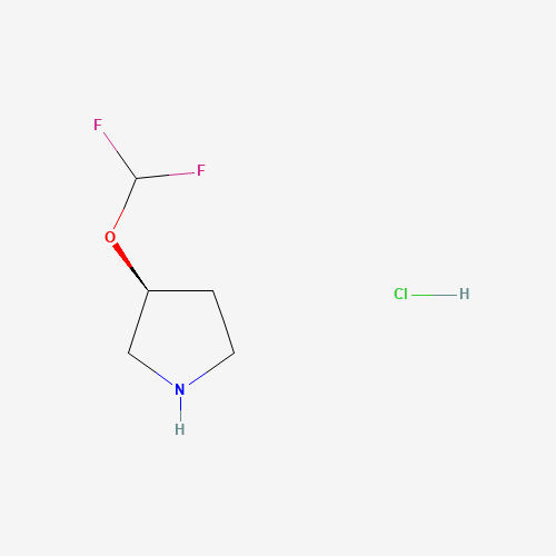 (S)-3-(Difluoromethoxy)pyrrolidine hydrochloride