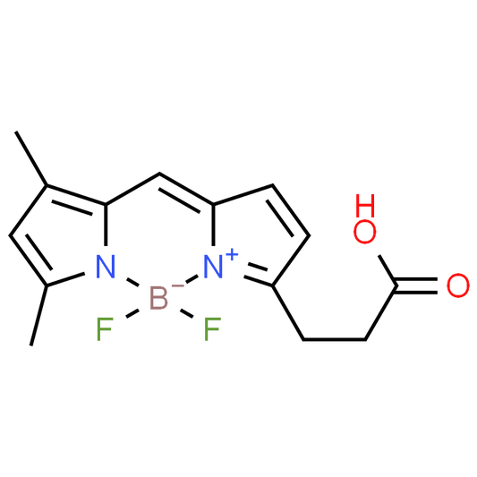 BDP FL
