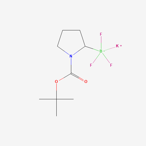Potassium (1-(tert-butoxycarbonyl)pyrrolidin-2-yl)trifluoroborate