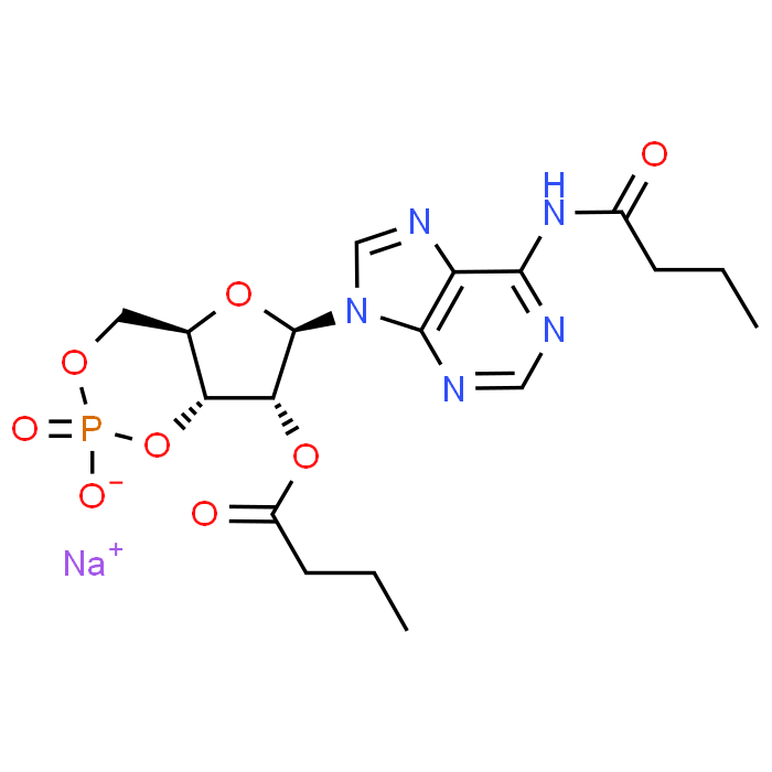 Dibutyryl-cAMP sodium salt