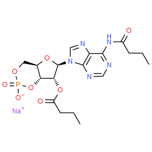 Dibutyryl-cAMP sodium salt