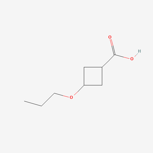 3-propoxycyclobutane-1-carboxylic acid