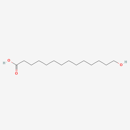 14-Hydroxytetradecanoic acid