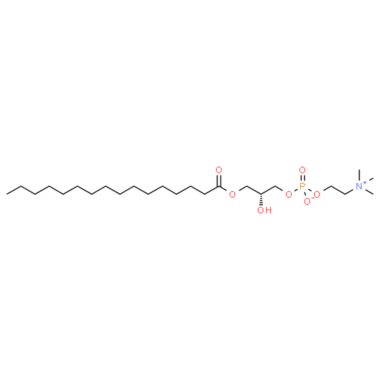 1-Palmitoyl-sn-glycero-3-phosphocholine