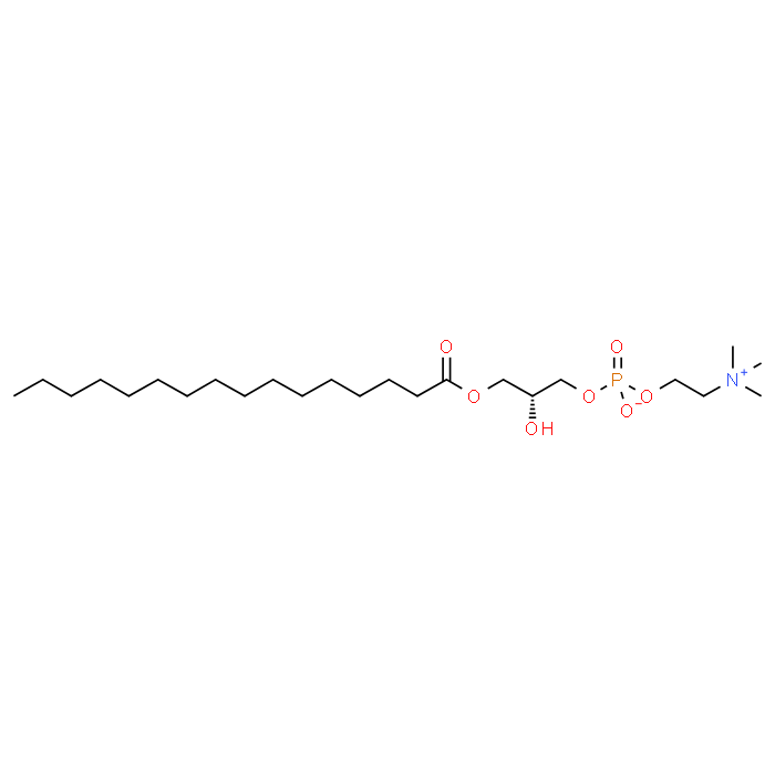 (R)-2-Hydroxy-3-(palmitoyloxy)propyl (2-(trimethylammonio)ethyl) phosphate