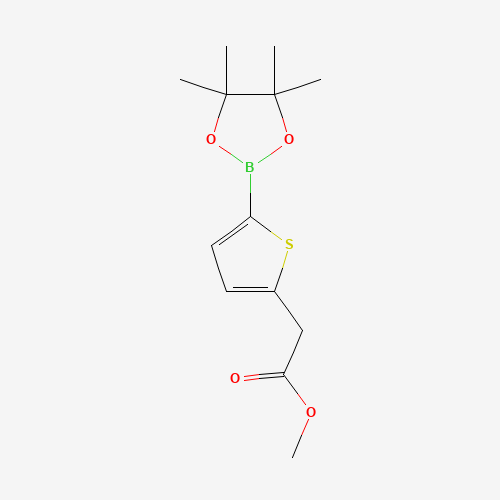 Methyl 2-(5-(4,4,5,5-tetramethyl-1,3,2-dioxaborolan-2-yl)thiophen-2-yl)acetate