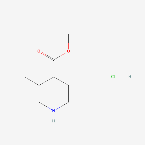Methyl 3-methylpiperidine-4-carboxylate hydrochloride