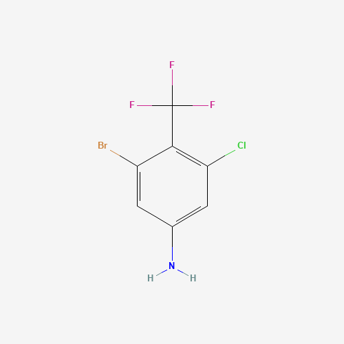 3-Bromo-5-chloro-4-(trifluoromethyl)aniline