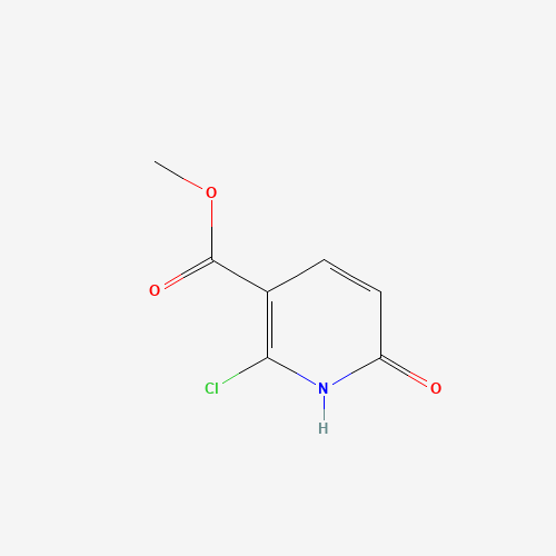 Methyl 2-chloro-6-hydroxynicotinate