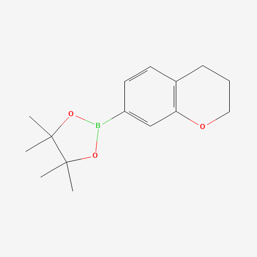 2-(Chroman-7-yl)-4,4,5,5-tetramethyl-1,3,2-dioxaborolane