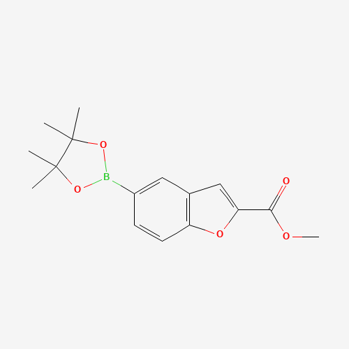 MEthyl 5-(tetramethyl-1,3,2-dioxaborolan-2-yl)-1-benzofuran-2-carboxylate