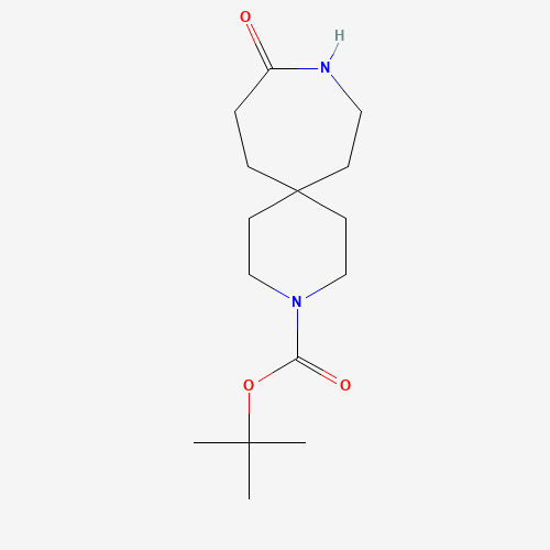 tert-Butyl 10-oxo-3,9-diazaspiro[5.6]dodecane-3-carboxylate