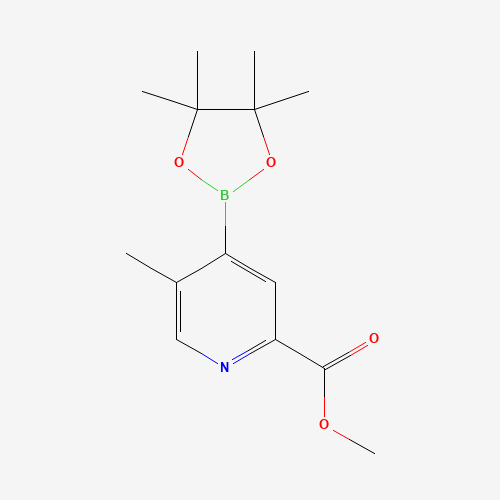 Methyl 5-methyl-4-(4,4,5,5-tetramethyl-1,3,2-dioxaborolan-2-yl)picolinate