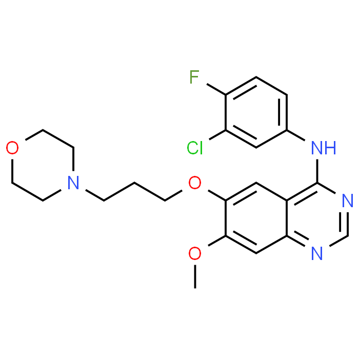 N-(3-Chloro-4-fluorophenyl)-7-methoxy-6-(3-morpholinopropoxy)quinazolin-4-amine