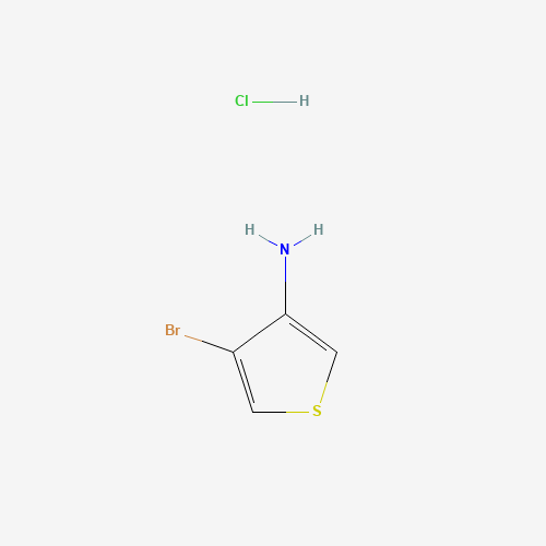 4-Bromothiophen-3-amine hydrochloride