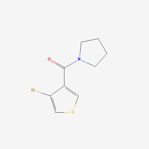 (4-Bromothiophen-3-yl)(pyrrolidin-1-yl)methanone