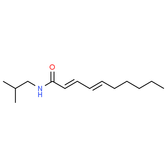 (2E,4E)-N-Isobutyldeca-2,4-dienamide