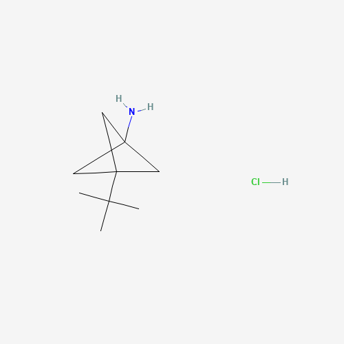 3-(tert-Butyl)bicyclo[1.1.1]pentan-1-amine hydrochloride