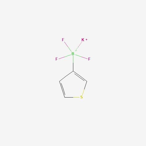 Potassium trifluoro(thiophen-3-yl)borate