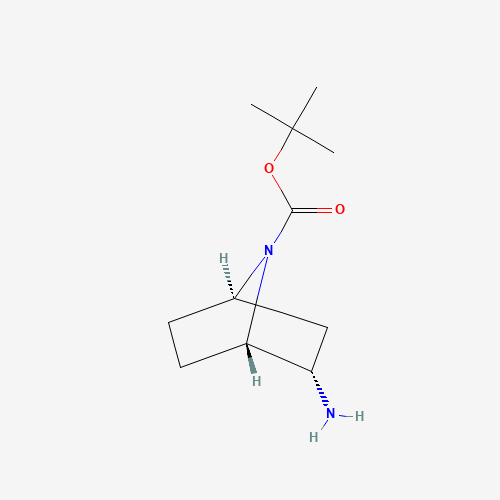 tert-Butyl (1S,2S,4R)-2-amino-7-azabicyclo[2.2.1]heptane-7-carboxylate