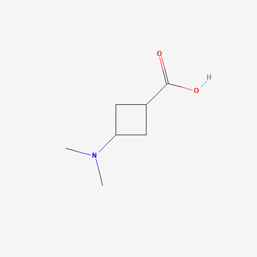 cis-3-(Dimethylamino)cyclobutane-1-carboxylic acid