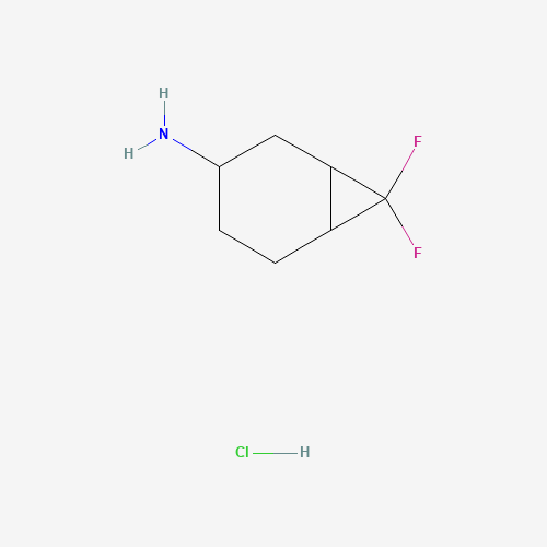7,7-Difluorobicyclo[4.1.0]heptan-3-amine hydrochloride