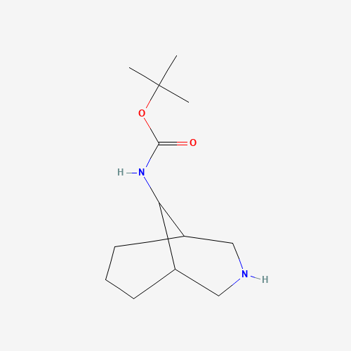tert-Butyl (3-azabicyclo[3.3.1]nonan-9-yl)carbamate