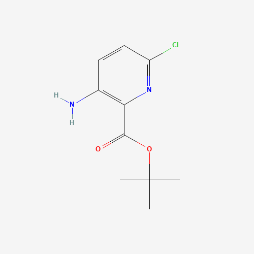 tert-Butyl 3-amino-6-chloropicolinate