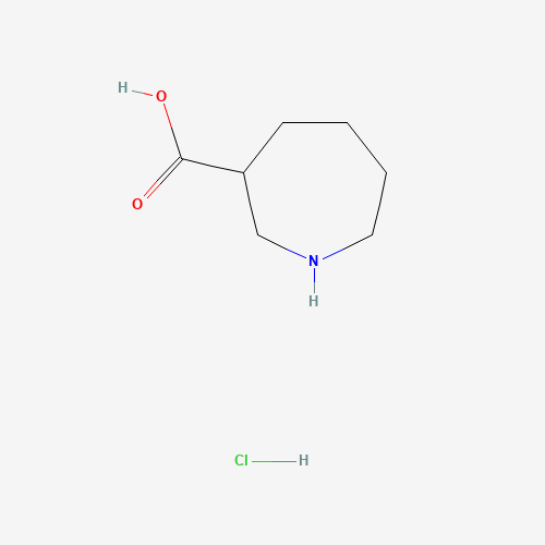 Azepane-3-carboxylic acid hydrochloride