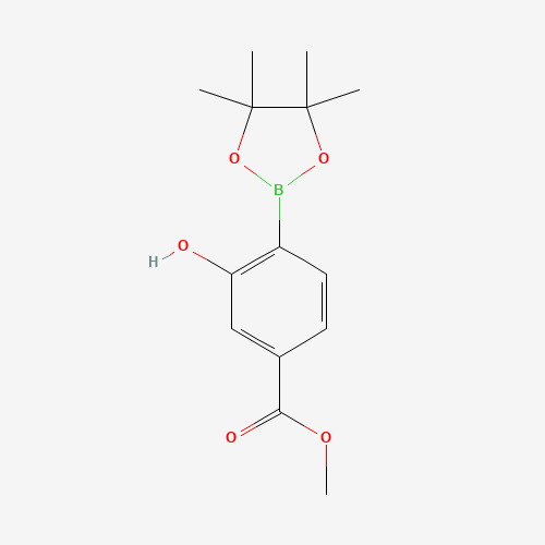 Methyl 3-hydroxy-4-(4,4,5,5-tetramethyl-1,3,2-dioxaborolan-2-yl)benzoate