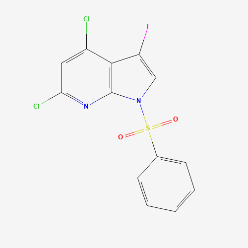 1-(benzenesulfonyl)-4,6-dichloro-3-iodo-1H-pyrrolo[2,3-b]pyridine