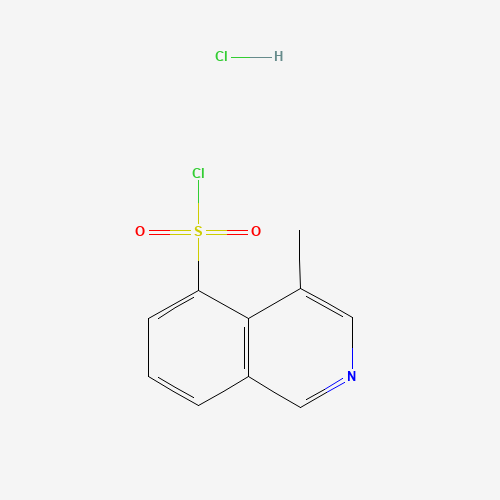4-Methylisoquinoline-5-sulfonyl chloride hydrochloride