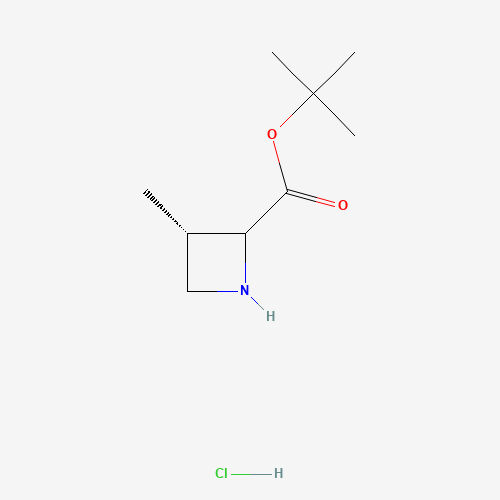 (3S)-tert-Butyl 3-methylazetidine-2-carboxylate hydrochloride