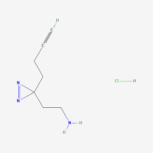2-[3-(But-3-yn-1-yl)-3H-diazirin-3-yl]ethan-1-amine HCl