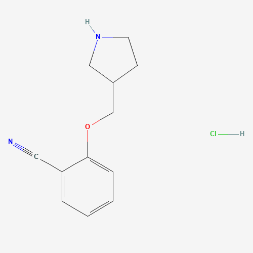2-(Pyrrolidin-3-ylmethoxy)benzonitrile hydrochloride