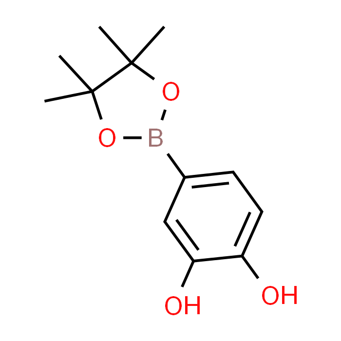 4-(4,4,5,5-Tetramethyl-1,3,2-dioxaborolan-2-yl)benzene-1,2-diol