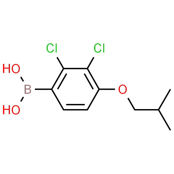 (2,3-Dichloro-4-isobutoxyphenyl)boronic acid