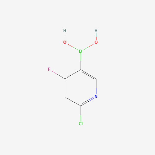 (6-Chloro-4-fluoropyridin-3-yl)boronic acid