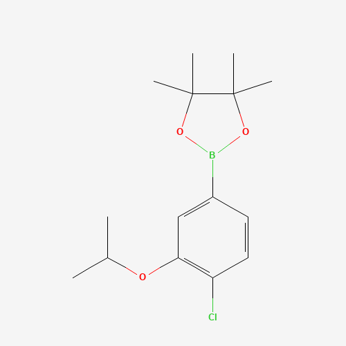 2-(4-Chloro-3-isopropoxyphenyl)-4,4,5,5-tetramethyl-1,3,2-dioxaborolane