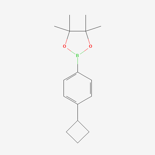 2-(4-Cyclobutylphenyl)-4,4,5,5-tetramethyl-1,3,2-dioxaborolane