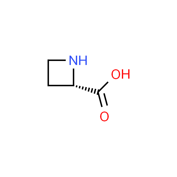 L-Azetidine-2-carboxylic Acid [Antagonist of L-Proline]