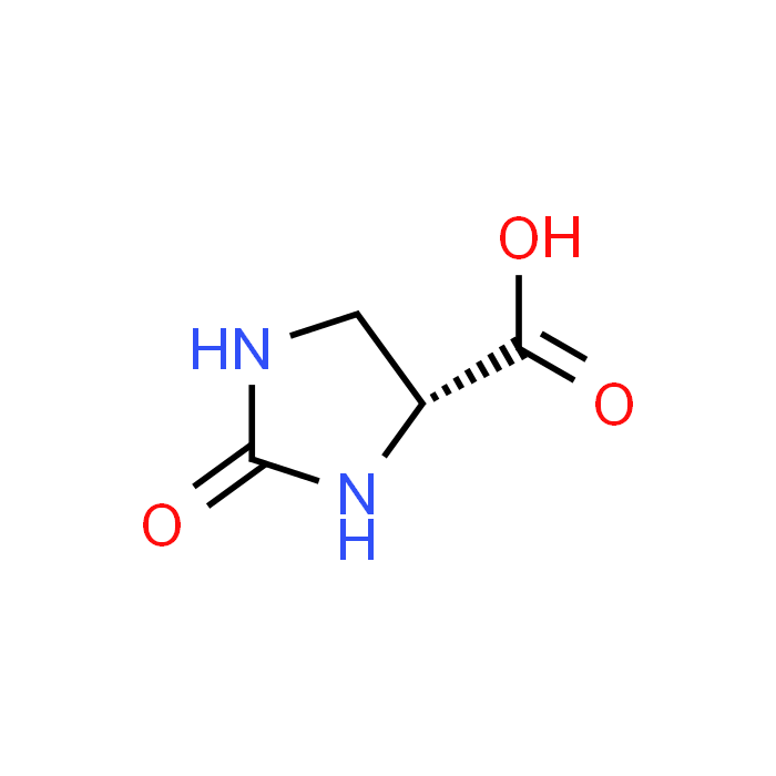 (R)-2-Oxoimidazolidine-4-carboxylic acid