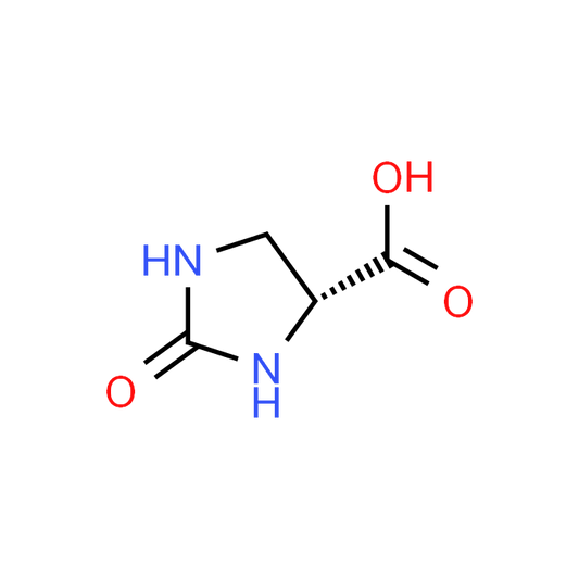 (R)-2-Oxoimidazolidine-4-carboxylic acid