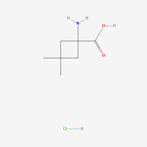1-Amino-3,3-dimethylcyclobutane-1-carboxylic acid hydrochloride